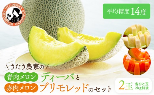 【先行予約】956.【ふるさと納税】青肉メロンディーバと赤肉メロンプリモレッドのセット ※日本全国配送可能  2026年10月上旬頃～11月上旬頃に順次発送予定【先行予約 メロン 果物 くだもの フルーツ 旬 甘い 鳥取県 鳥取 北栄町 おすすめ 人気】