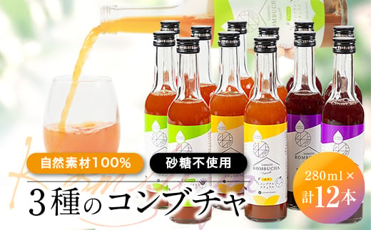 
砂糖を使わず「アガベ」で発酵させた「自然素材100%」の3種のコンブチャ　(280ml×12本)【1312537】
