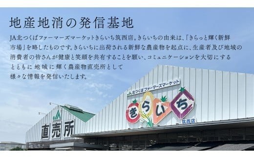 【 JA北つくば 】 常陸牛 ロース ステーキ用 500g ( 250g × 2枚 ) ブランド牛 銘柄牛 A5 A4 牛肉 牛 和牛 お肉 にく ステーキ 焼肉 バーベキュー ギフト 贈答 贈り物 