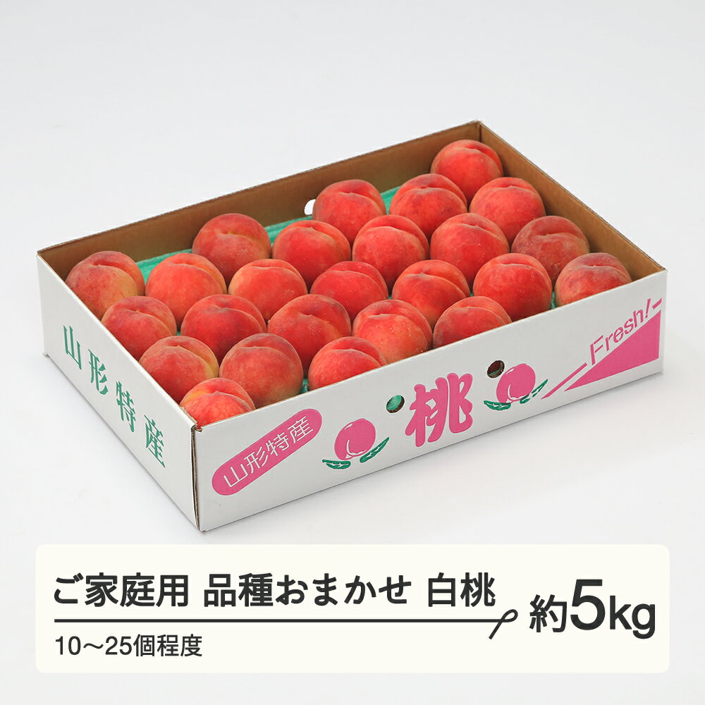【ふるさと納税】もも 桃 品種おまかせ 白桃 ご家庭用 約5kg(10~25個程度) 山形県産 送料無料 tf-moywm5※沖縄・離島への配送不可