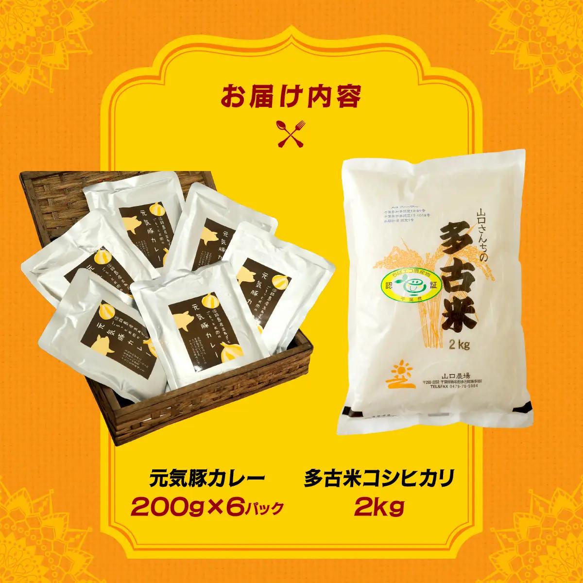 ご飯にはやっぱりカレー!「多古米コシヒカリ2kg」と「元気豚カレー200g×6」セット_ 精米 米    コシヒカリ 米 こしひかり  惣菜・加工品 カレー  _【配送不可地域：離島・沖縄県】 TAK