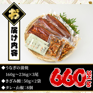 うなぎ 無投薬  鹿児島県産  ＜極上＞ (160g～236g×3尾・きざみ50g×2袋)  うなぎ【西日本養鰻】B44-v02