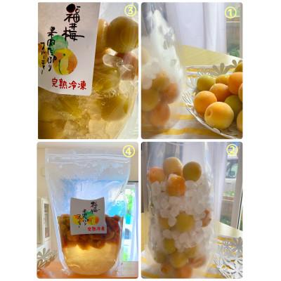 ふるさと納税 若狭町 冷凍完熟梅(福井梅)1kg |  | 03