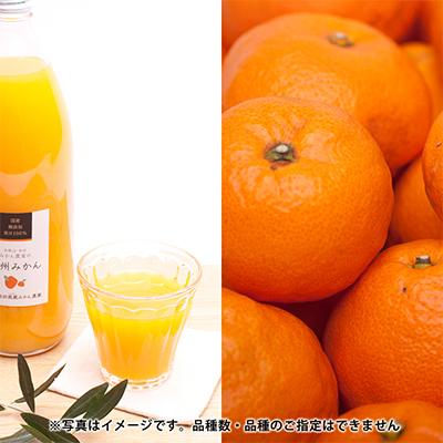 ふるさと納税 和歌山市 【発送月固定定期便】季節の柑橘定期便B【フルーツ定期便】【和歌山県有田】全6回 |  | 03