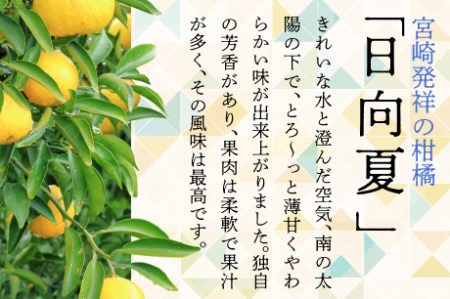 初春の旬「日向夏」種あり2.5kg【先行受付】日向夏 種あり 2.5kg 先行受付 2026年発送 ニューサマーオレンジ 柑橘 みかん ギフト 贈答