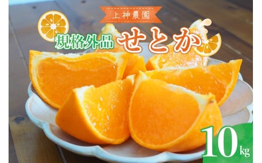 【2026年2月初旬～発送】【規格外品】上神農園 の 広島県産 せとか 約10kg ku011-032-25