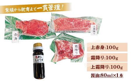 ＜ R8年熊本地震復興支援 ＞純熊本県産 馬刺しセット（小） 馬刺し 300g 馬肉 上赤身 霜降り 上霜降り