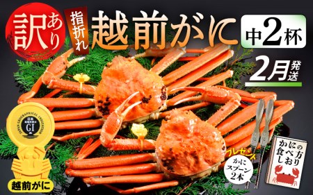 【訳あり】≪浜茹で≫指折れ 越前がに（中） × 2杯 【2月発送分】 食べ方しおり かにスプーン付き【雄 ズワイガニ ずわいがに 越前ガニ 姿 ボイル 冷蔵 福井県】希望日指定可 備考欄に希望日をご記入ください [e15-x004_02]