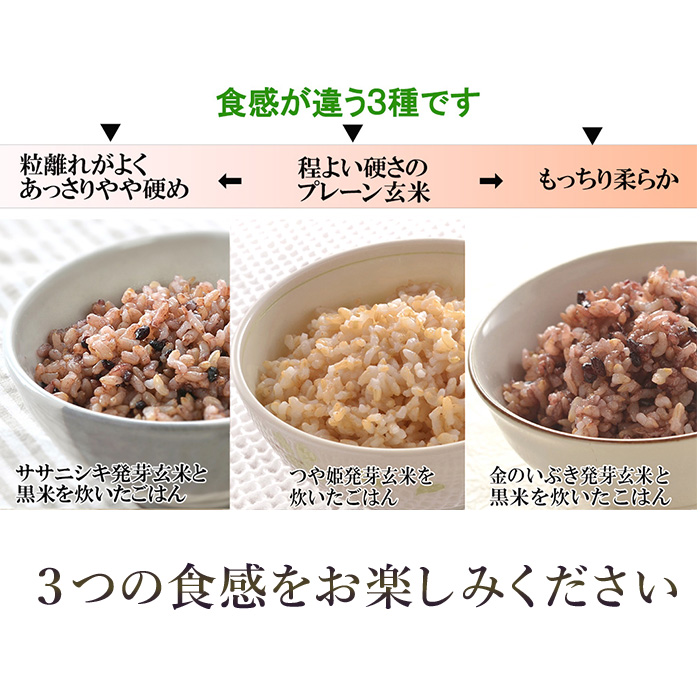発芽玄米パックご飯3種セット 150g×17パック 金のいぶき つや姫 ササニシキ 発芽玄米 黒米 発芽玄米 レンジ 有機栽培 パックライス ご飯 米 レンチン 【有機農園ファーミン株式会社】 tm1