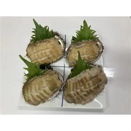 三陸小本浜産冷凍天然あわび　400g(4個入り)【配送不可地域：離島】【1717033】