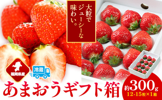 福岡県産 あまおう ギフト箱 約300g 南国フルーツ株式会社《2026年12月上旬-2027年3月末頃出荷》福岡県 鞍手町 あまおう いちご イチゴ 送料無料【配送不可地域あり】