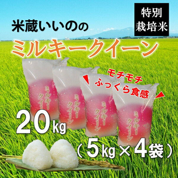 【ふるさと納税】米蔵いいの特別栽培米ミルキークイーン20kg（5kg×4袋）