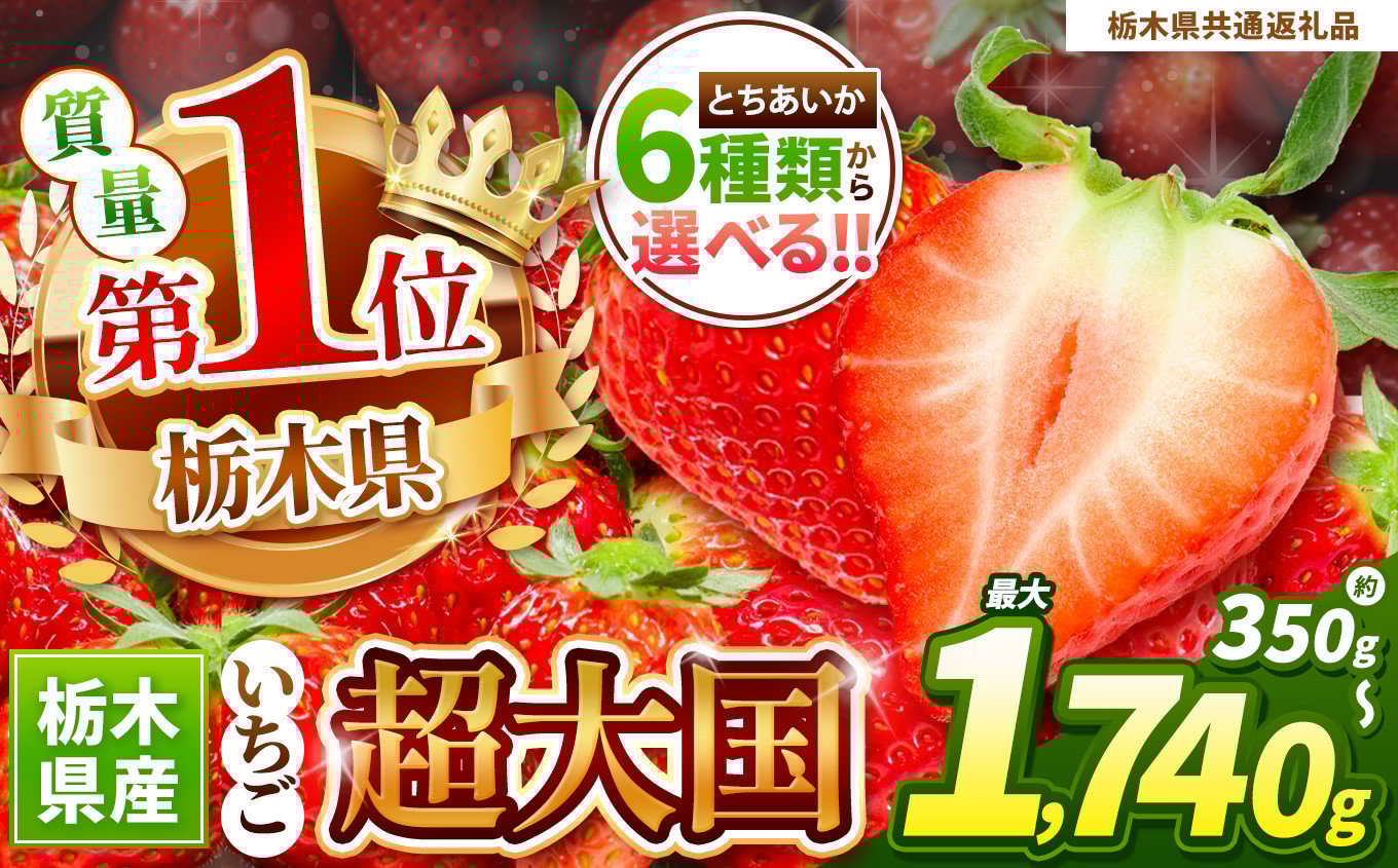
            【栃木県共通返礼品】旬に発送 人気超上昇！！ 選べる いちご 6種類 350g ～ 1,740g以上 | 苺 キングダム 日本一 訳あり 家庭用 大粒 秀品 とちおとめ とちあいか 食べ比べ 数量 限定 共通 返礼品 ストロベリー 人気 果物 フルーツ 限定品種  栃木県 特産品 下野市 送料無料
          