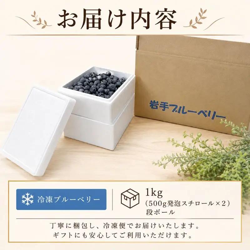【8月以降発送】大粒 ブルーベリー 1kg (500g×2) 北田りんご園 kitada001 ブルーベリー