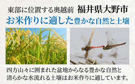 【3ヶ月定期便】【令和6年産 新米】大野産コシヒカリ（白米）5kg×3回 計15kg【大野ブランド米 名水育ち】[D-097001]