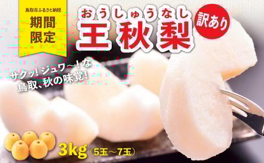 
            訳あり 王秋梨 3kg【やぶやフルーツガーデン】
          