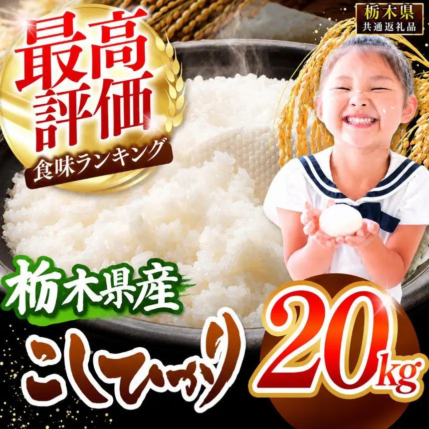 【2026年産】栃木県産コシヒカリ白米 20kg【栃木県共通返礼品 栃木県産】