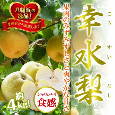 【ふるさと納税】八幡浜の梨、果汁たっぷり!!「幸水」約4キロ【D39-40】【配送不可地域：離島】【1316573】