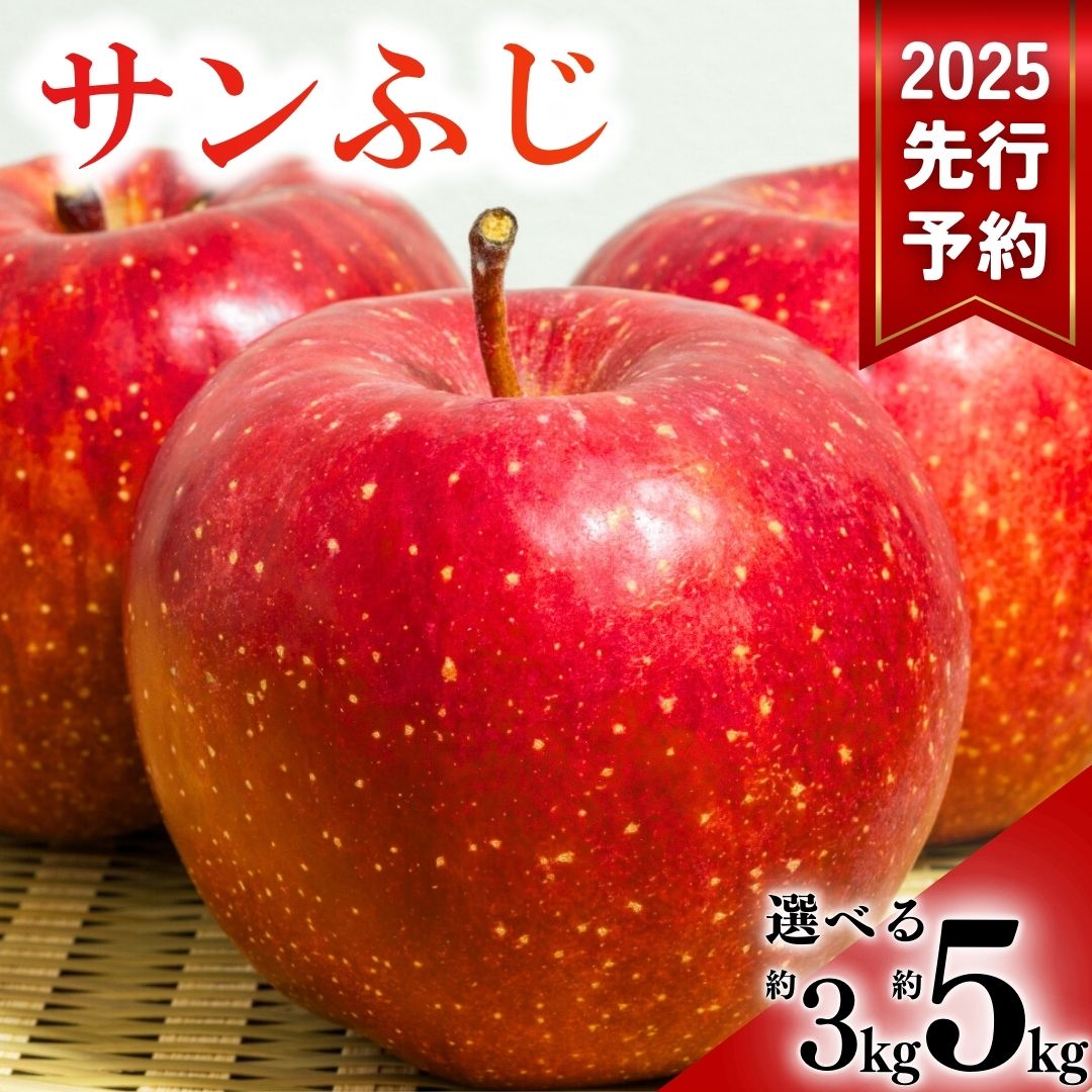 【ふるさと納税】【2025年先行予約】サンふじ りんご 3kg / 5kg|林檎 蜜入り 果物 フルーツ サン ふじ 富士 3kg 5kg 信州林檎 信州りんご 信州 長野 千曲市 送料無料