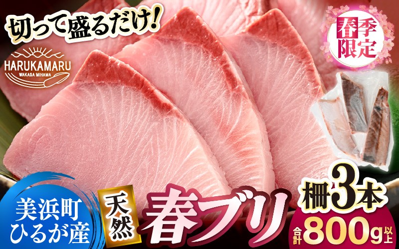 
            天然！地物！ひるがの春ぶり 柵3本【合計800g以上】【照り焼き ぶり大根 ぶりしゃぶ ぶり ブリ 鰤 ブリトロ ぶりとろ 生食 刺身 海鮮丼 日向 福井 美浜 海鮮 冷凍 旬 プレゼント】 [m36-b012]
          