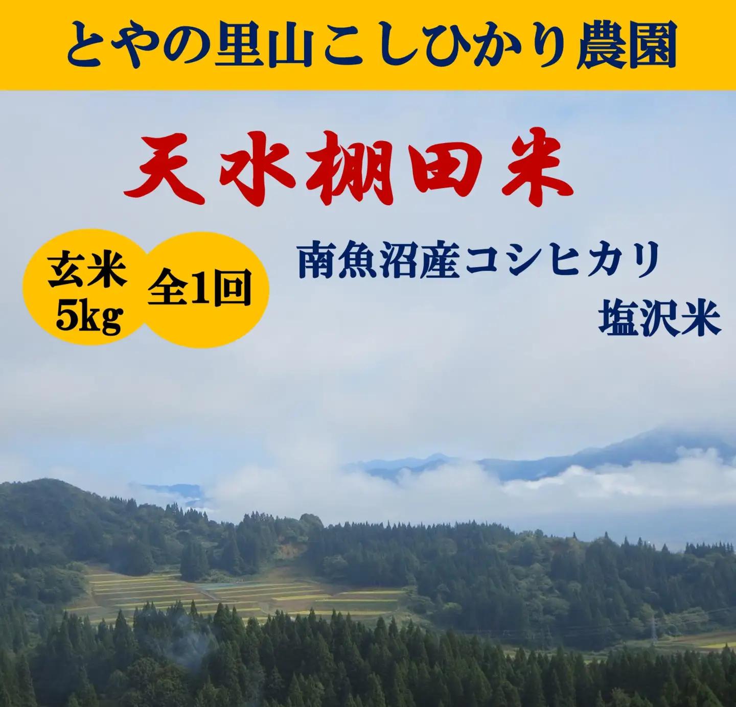 【令和8年産新米予約】【天水棚田米】雪蔵熟成塩沢産コシヒカリ玄米5kg1回「とやの里山継承プロジェクト」【2026年10月下旬より1ヶ月以内に順次発送予定】