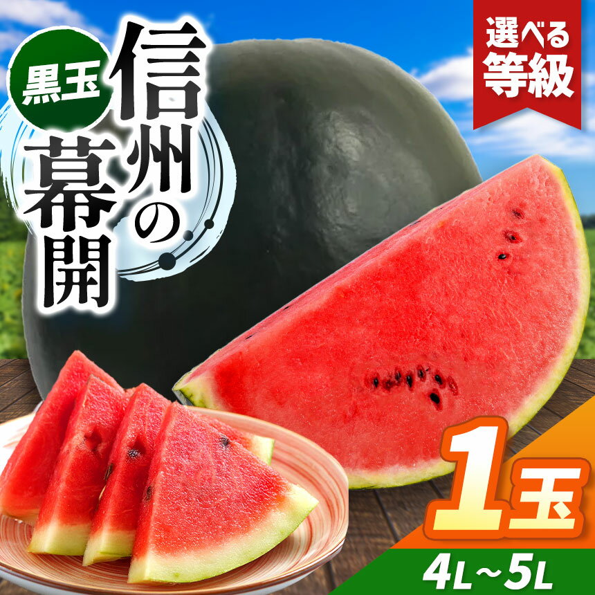 【ふるさと納税】先行予約【選べる】信州波田産 贈答用 黒玉スイカ！信州の幕開 4L～5Lサイズ 1玉｜ふるさと納税 長野県 信州 松本 果物 フルーツ すいか スイカ 西瓜 贈答 特選 季節限定 甘い くだもの ふるーつ