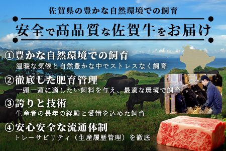 【定期便12回配送】＼とろける佐賀牛／【佐賀牛肩ローススライス400g】ブランド牛 霜降り 極上 高級肉 贅沢 すき焼き しゃぶしゃぶ 鍋 大容量 肉の甘み 柔らかい ギフトにも最適 定期便 12ヵ月