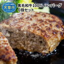 【ふるさと納税】黒毛和牛 100％ ハンバーグ 150g 6個 セット 牛肉 A5 等級 ミシュランビブグルマン獲得 産地直送 自社牧場 肉汁 おかず ご飯のお供 和牛 国産 冷凍 熊本県 天草市 田中畜産 お取り寄せ お取り寄せグルメ 送料無料