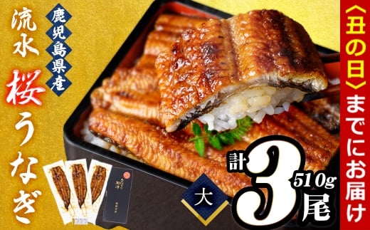 【丑の日までに配送】熟練の技が冴える！うなぎの柳澤 流水桜うなぎの鰻蒲焼き3尾(計510g) b2-016-us