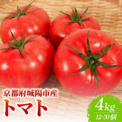 【ふるさと納税】京都府産 トマト 約4kg(12～30個)産地直送【配送不可地域：離島】【1710056】