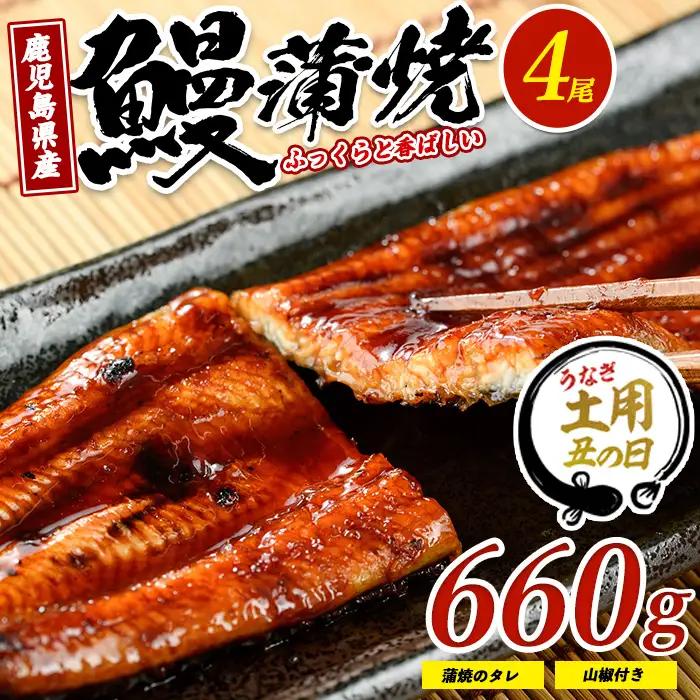 【丑の日に合わせてお届け！】鹿児島県産鰻の蒲焼(無頭背開き)約165g×4尾(山中水産/IB022-002u) うなぎ