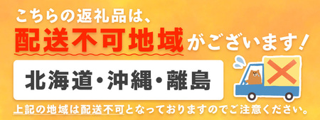 【1226_03】農家直送！大粒完熟まりひめ　いちご　2パック（3月発送）配送不可地域【北海道・沖縄・離島】