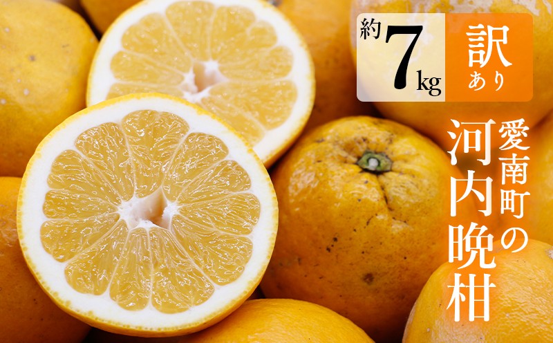 
                  訳あり 河内晩柑  約7kg 柑橘 かんきつ 蜜柑 愛南ゴールド 春 夏 旬 みかん ばんかん 晩柑 和製 グレープフルーツ 果物 フルーツ 美味しい 愛媛県 愛南町 さとよい農園
                