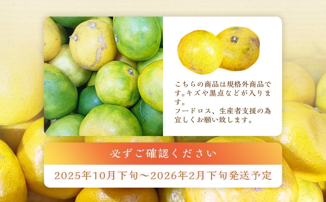 【規格外品】熊本市産 みかん ご家庭用 15kg 不揃い