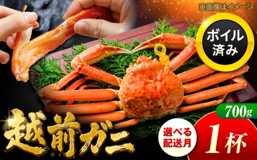 【先行予約/11月7日より順次発送】 越前がに 700ｇ×1杯 小浜市 / まるほ商店 【配送不可地域：北海道・沖縄・離島】[BFCS021-11]