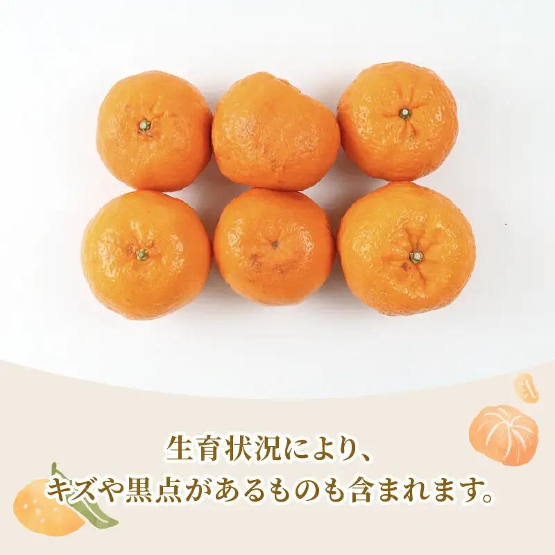 準 贈答用 ポンカン 5kg 矢野青果 ポンカン B012-171007
