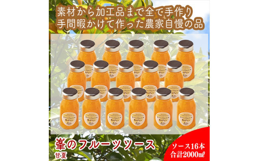 スイスで加工品を学んだ農家が手間暇かけた『手づくりジャムソース【あまなつ】』16本セット【 家庭用 自宅用 贈答品 贈答用 ギフト お取り寄せ お中元 お歳暮 贈り物 お祝い 神奈川県 小田原市 】