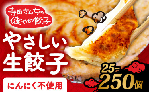 やさしい生餃子 250個 にんにく 不使用 ヘルシー 冷凍 餃子 ぎょうざ 国産野菜 おから 鶏肉 アボカド ヨーグルト 生餃子 ギョウザ ギョーザ 焼き餃子 水餃子 冷凍餃子 惣菜 夜ご飯 おかず 時短 大阪府 松原市