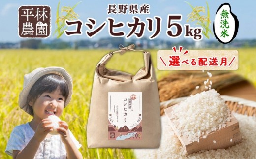 
                  【選べる配送月】令和8年産 コシヒカリ 無洗米 5kg×1袋 長野県産 米 白米 精米 お米 ごはん ライス 甘み 農家直送 産直 信州 人気 ギフト 時短 お取り寄せ 平林農園 送料無料 長野県 大町市
                