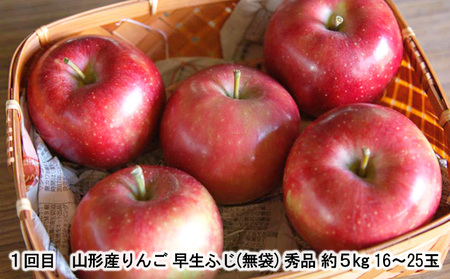 【定期便2回】ふるさとからの贈り物 りんごとラフランス便 FZ23-657