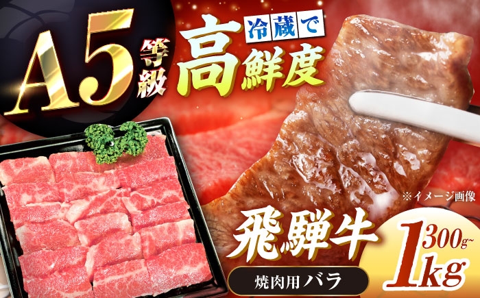 
            【先行予約】【2026年1月より順次発送】【選べる容量】【チルド（冷蔵）発送！】 牛肉 「飛騨牛」 A5等級 バラ 300g～1kg / 肉 お肉 にく牛肉 飛騨牛 和牛 国産和牛 ブランド牛 お取り寄せ 価格 ステーキ 焼肉 おすすめ 人気 贈答用 ギフト プレゼント 高級 焼肉 鉄板焼き 網焼き BBQ バーベキュー / 恵那市 / 東美濃農業協同組合 [AUFX001]
          