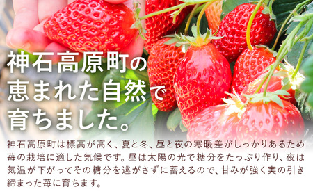 いちご 神石イチゴファームの苺 神の苺 15粒 約330g I-temホールディングス株式会社《12月中旬-3月末頃出荷》広島県 神石高原町 苺 イチゴ フルーツ 紅ほっぺ 小粒 中粒 大粒