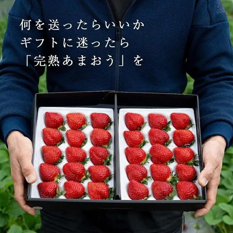 【2027年発送】完熟 あまおう 3Lサイズ 900g | あまおう 産直