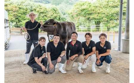  OD3 佐賀牛100％の贅沢ハンバーグ 150g×6個 手造り 佐賀牛 国産牛 和牛 ブランド牛 牛肉 肉  人気 おすすめ 佐賀県 太良町