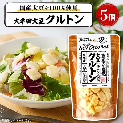 ふるさと納税 大牟田市 大牟田大豆クルトン25g×5個