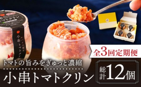 【3回定期便】小串 トマトクリンアイス 川棚町名産 濃厚な小串トマトと はちみつ レモン の ソルベ【BUCO cafe】[OBJ005] / アイス定期便アイス定期便アイス定期便アイス