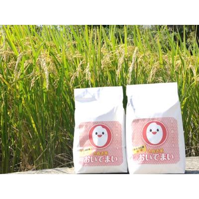 ふるさと納税 多度津町 多度津町産  おいでまい(白米8kg)【A-11】 |  | 01