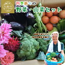 【ふるさと納税】四季折々の野菜・山菜セット（5品目ほど）【45P3203】