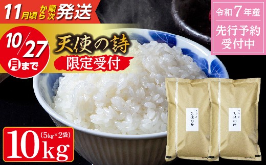 
            【令和7年産 新米 予約】天使の詩 5kg×2袋 計 10kg 希少 米 お米 | 白米 10kg 10キロ 令和７年 こめ コメ ごはん 数量限定 _c-128
          