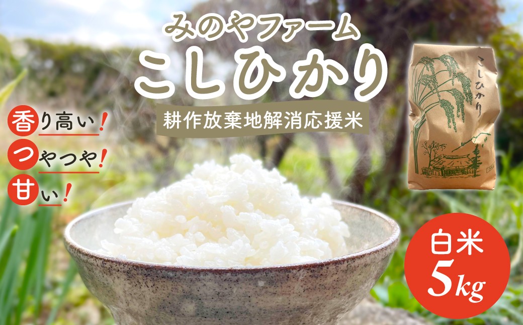 
                  令和８年産 こしひかり 5ｋｇ（白米） みのやファーム耕作放棄地解消応援米  【 コシヒカリ こしひかり おいしい お米 米 こめ 自然栽培 贈り物 ギフト 千葉県 御宿町 人気 おすすめ ランキング 】 ONJF003
                